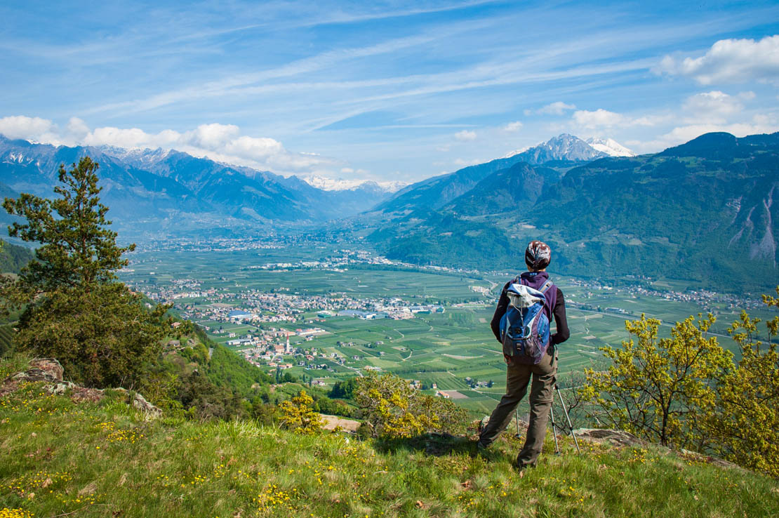 Alto Adige